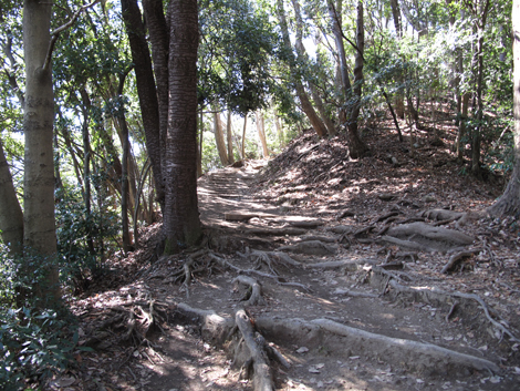20160226hike (16)
